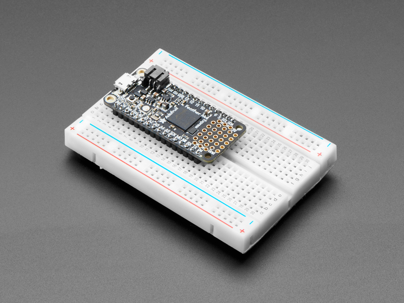 Adafruit Feather M4 Express board photo