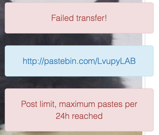 Pastebin feedback