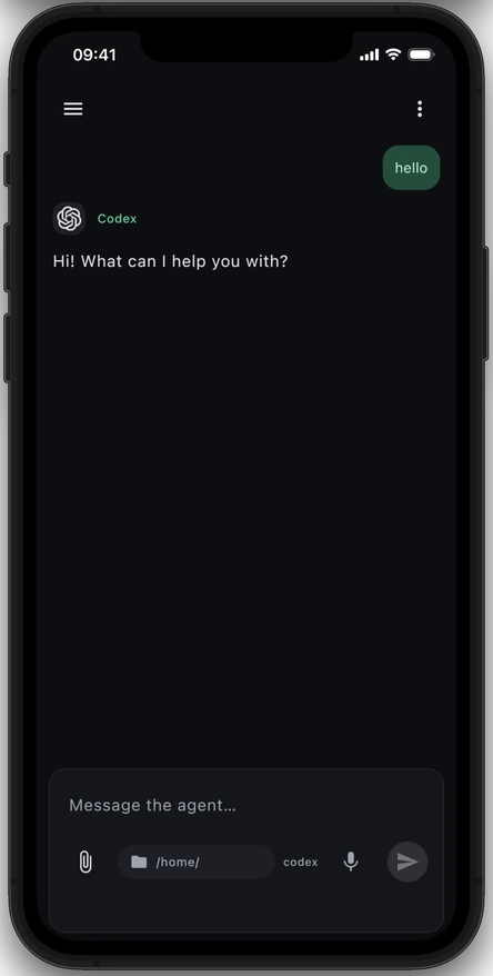 Native conversation with Codex in Termish