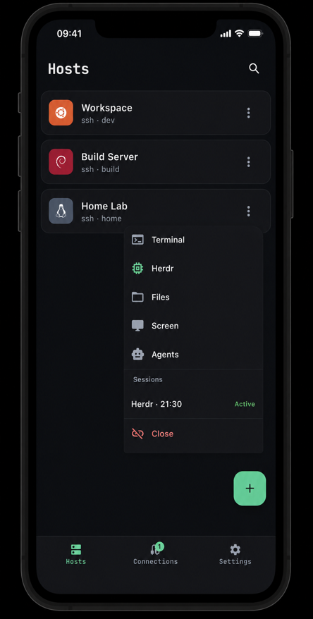 Termish host list with shortcuts for Terminal, Herdr, Files, Screen and Agents