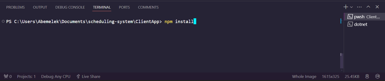 npm-install