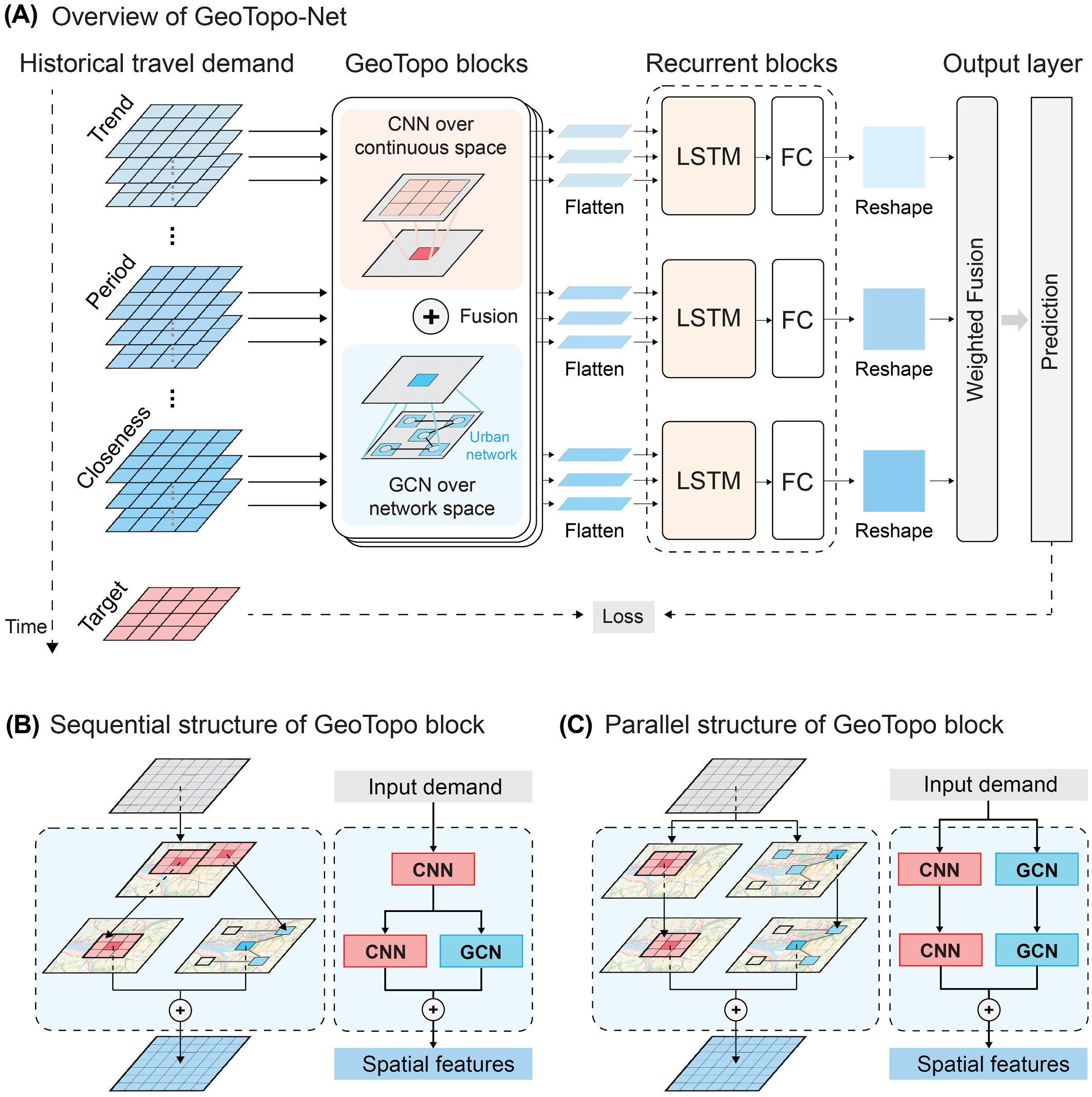Figure 2. (A) Overall design of GeoTopo-Net. In the implementation of the model, two variants of the GeoTopo block are designed: (B) Sequential structure; (C) Parallel structure.