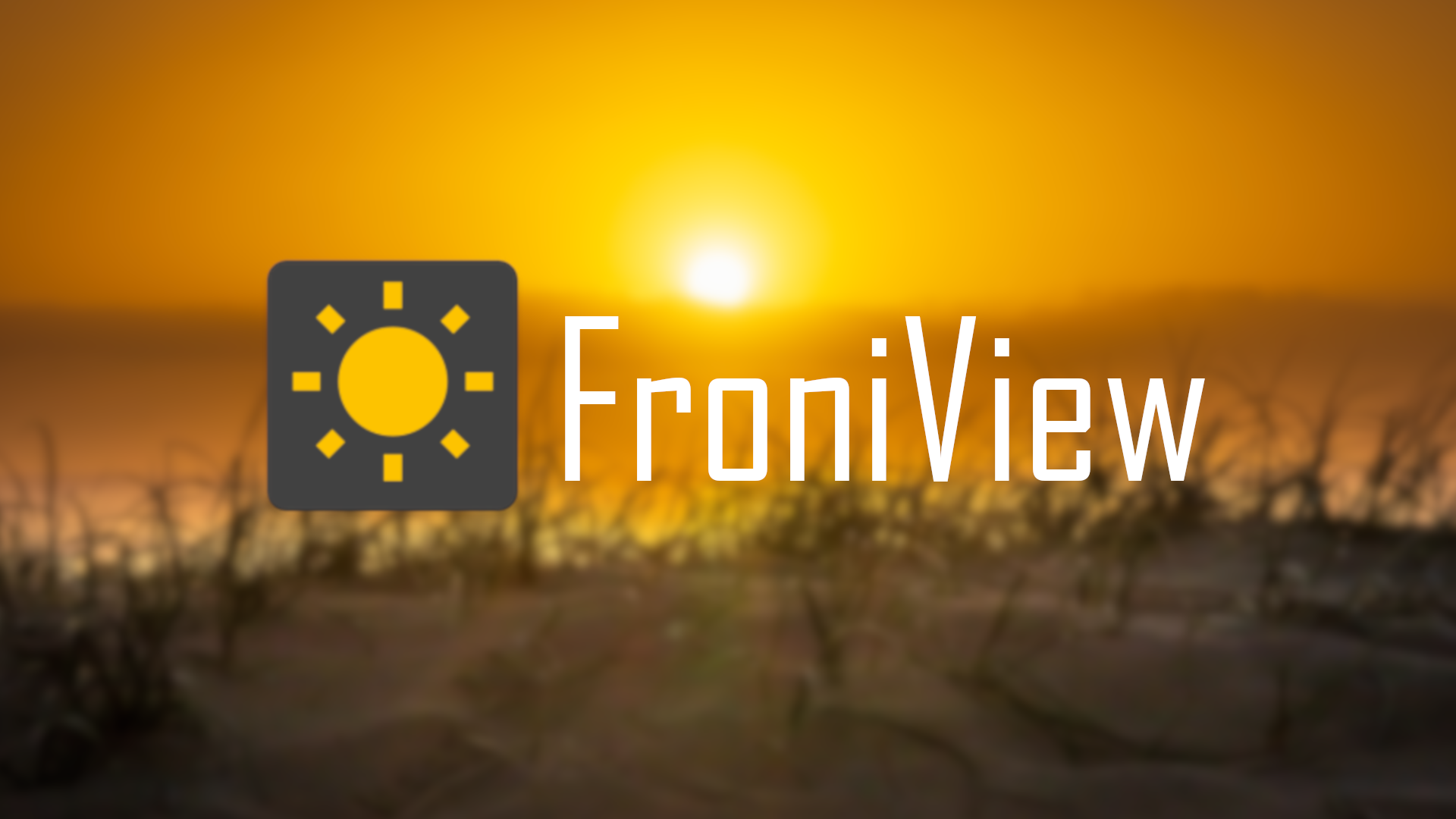 FroniView