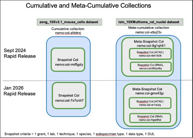 Diagram 2: Illustration of cumulative and meta-cumulative collections as stable containers tracking datasets across multiple Rapid Releases