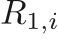 $R_{1,i}$