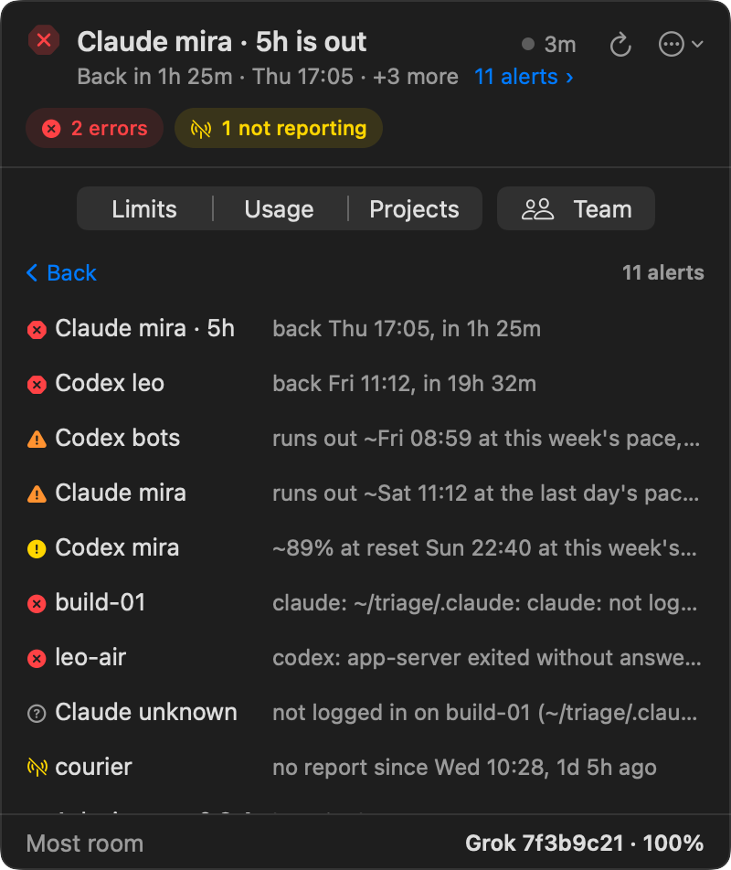 The alerts: every entry of the report's ATTENTION, one line each with the mark of its kind, and the subscription with the most room under them