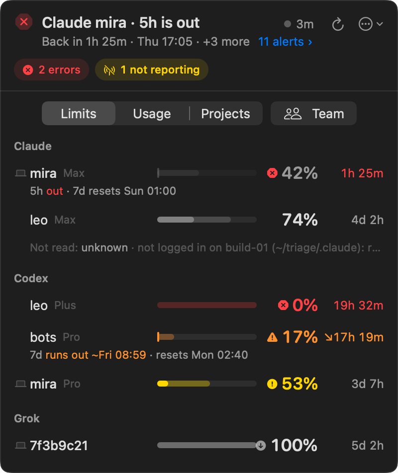 Limits: a row per subscription account with a bar of what is left, the percent left, and the time until reset