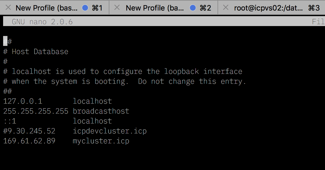 icp-docker