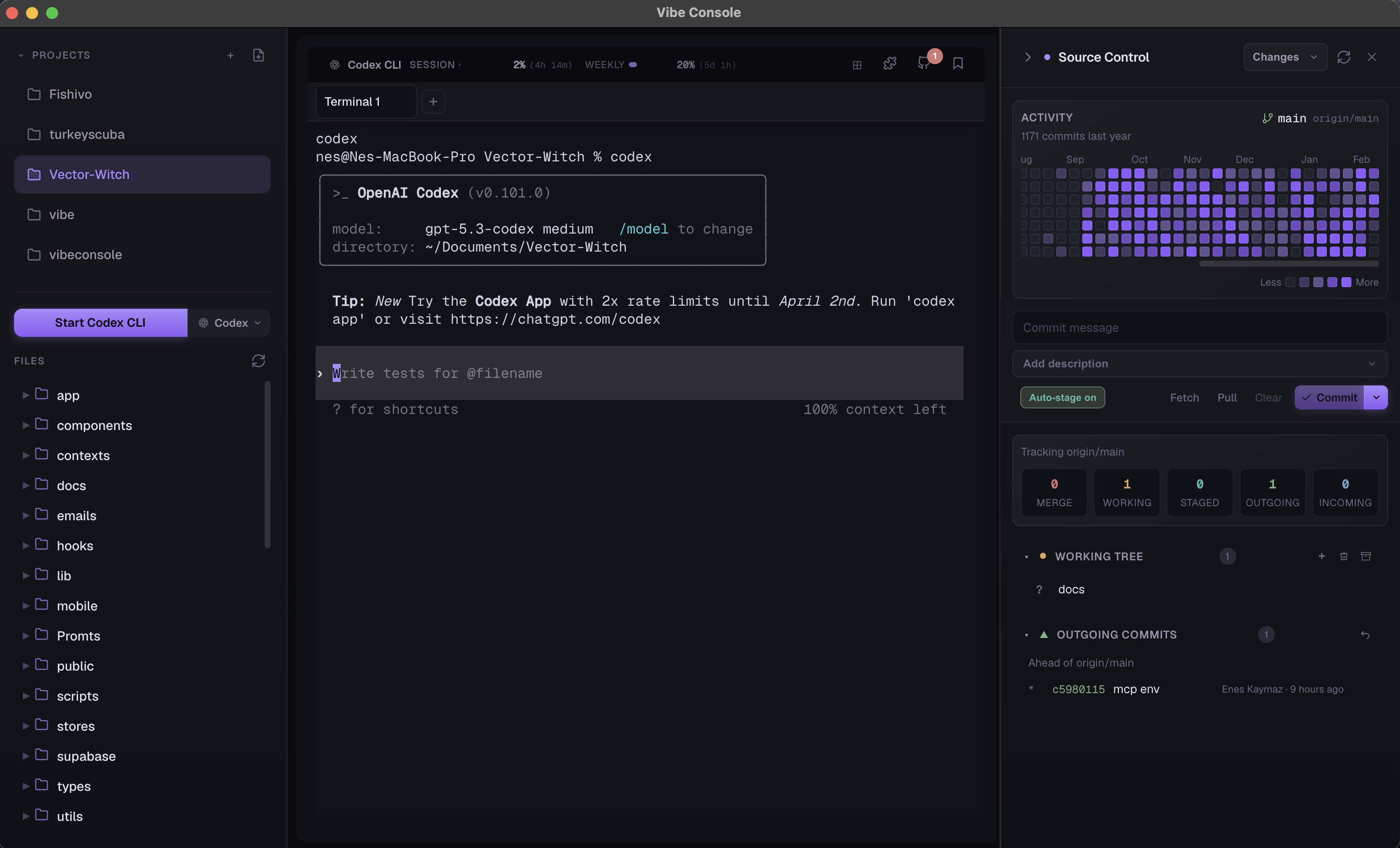 VibeConsole Source Control panel screenshot