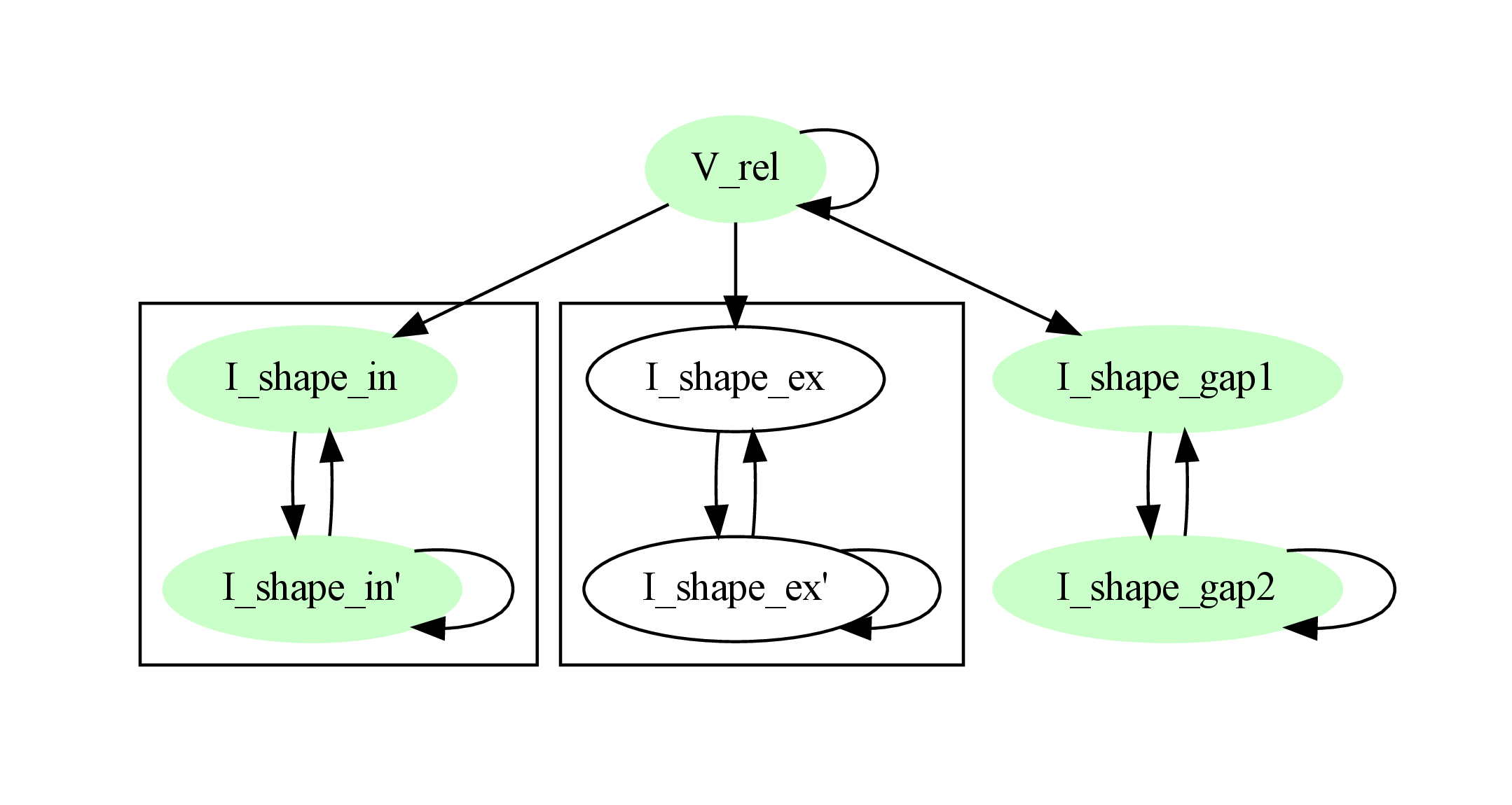 Dependency graph with membrane potential and excitatory and gap junction kernels marked green