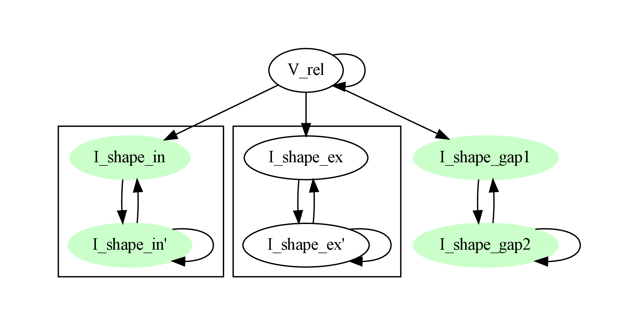 Dependency graph with membrane potential and excitatory and gap junction kernels marked green