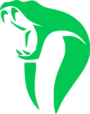 NestPy Logo