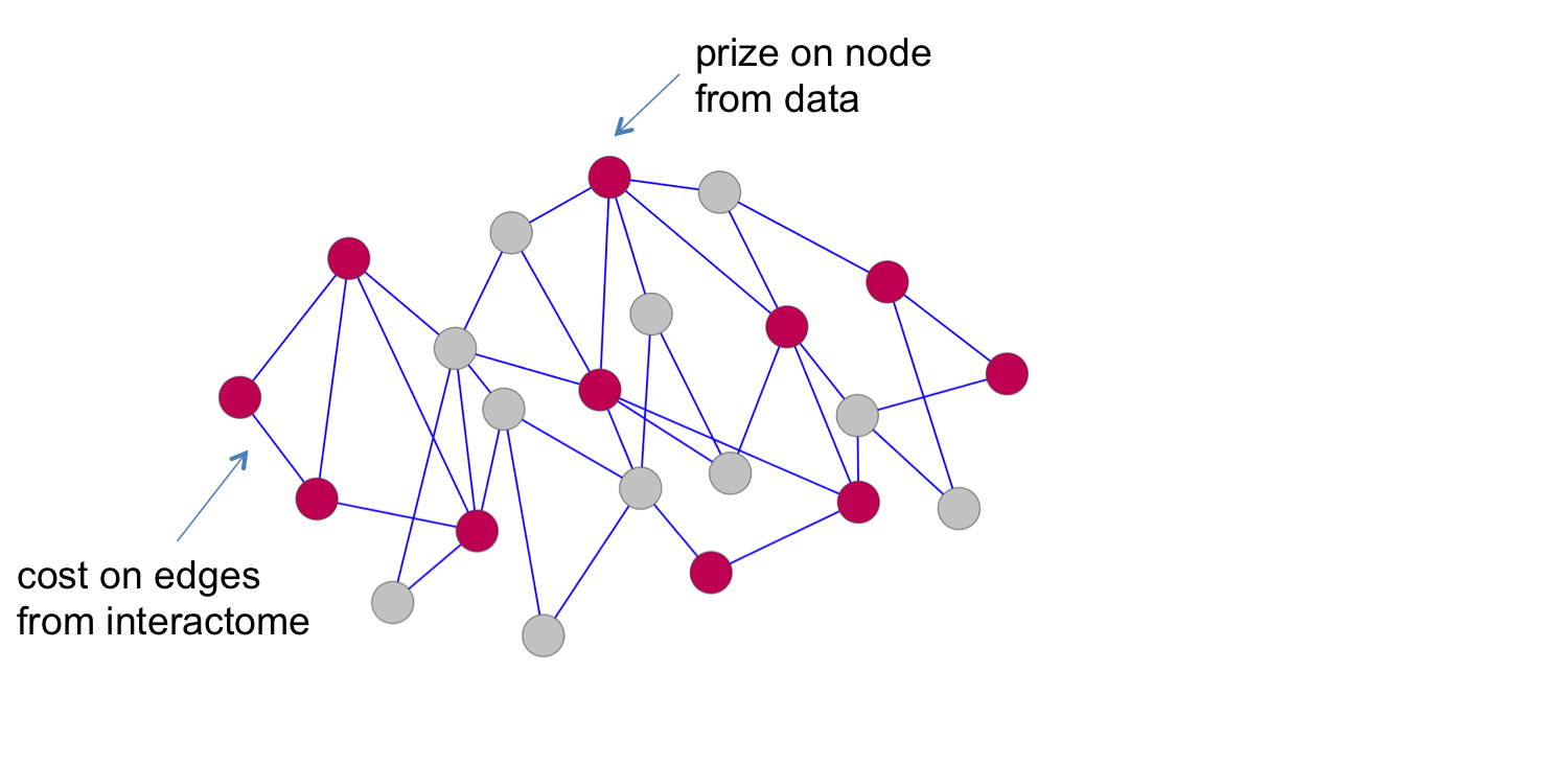 network with prizes