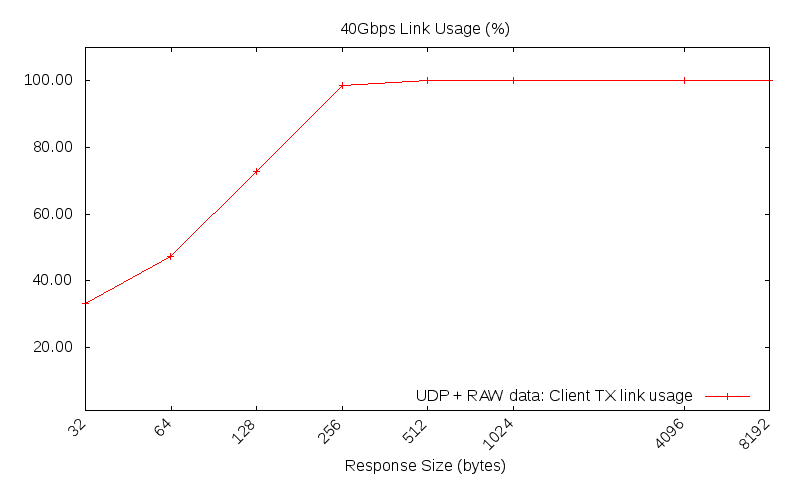 UDP raw link usage