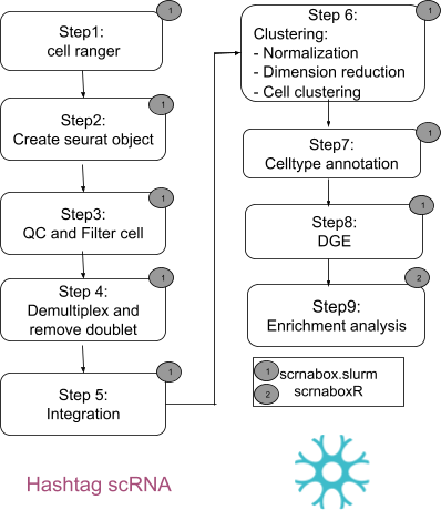 GitHub - neurobioinfo/scrnabox: A pipeline for scRNA analysis under HPC