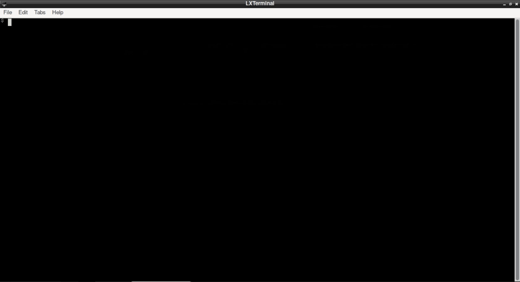 Neurodesktop with LXTerminal open