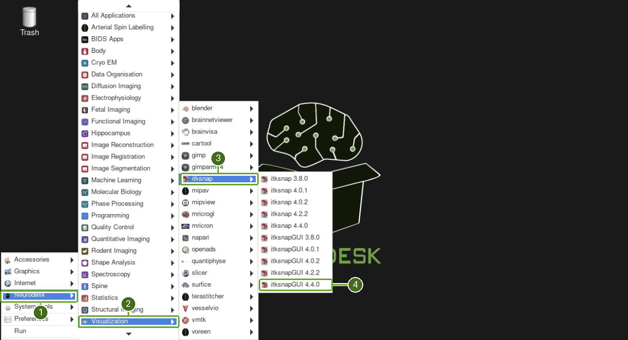 Launch ITK-SNAP GUI