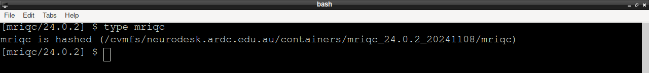 The terminal opened by the MRIQC menu, showing the executable version