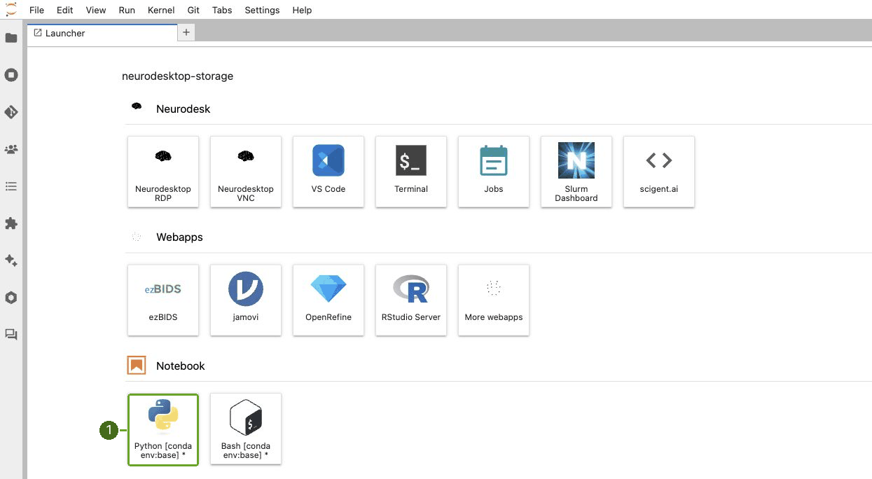 Neurodesk launcher window to open a new Jupyter Notebook