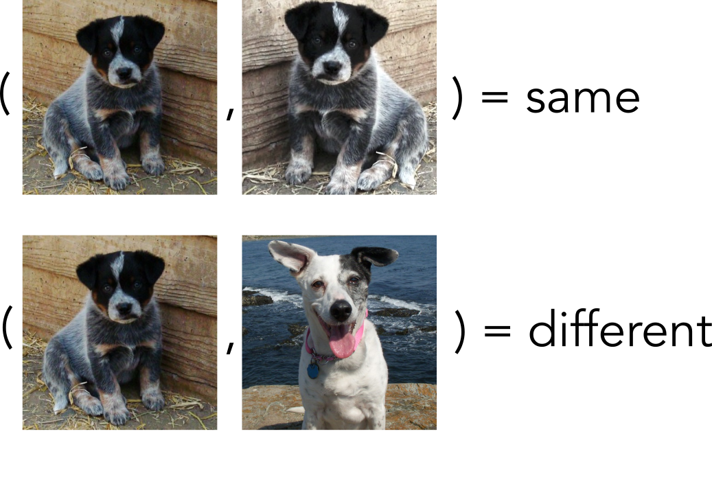 A pretext task to classify puppies