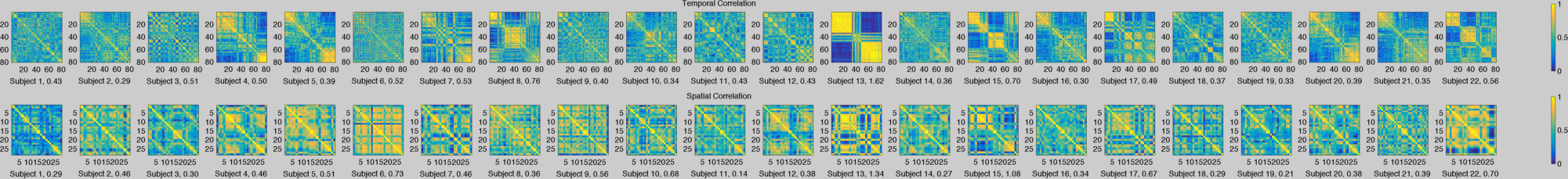 Temporal and Spatial Correlations by Subject