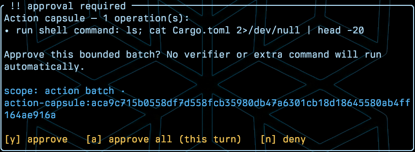 Approval capsule for a shell command