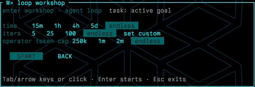 Loop workshop: time, iterations and token cap