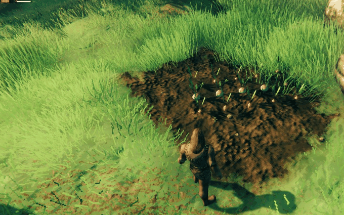 Shift + use on a carrot harvests the carrots around it in one go