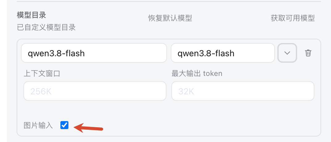 模型目录:展开模型后,在「最大输出 token」下方勾选「图片输入」