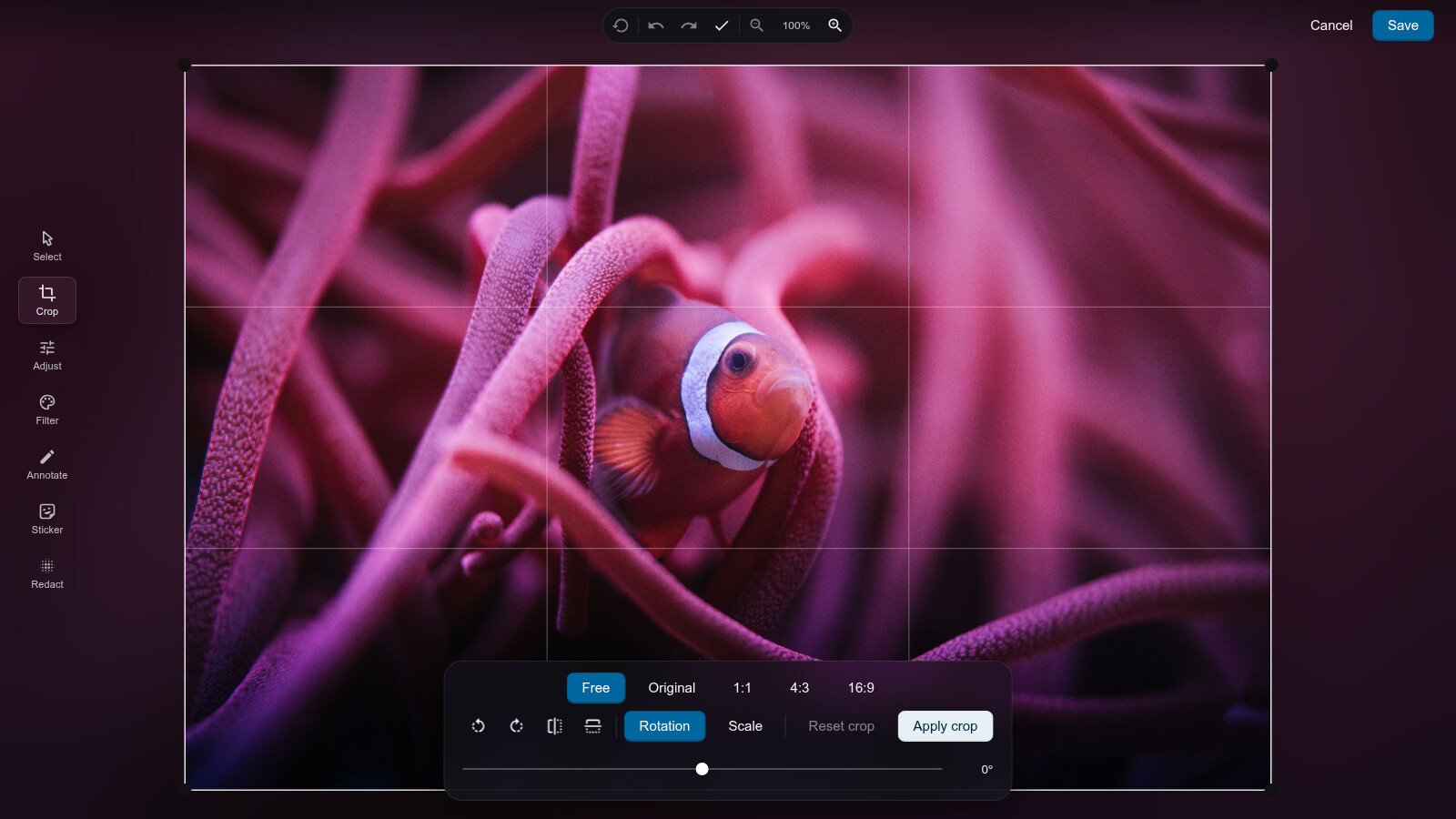 The editor in crop mode