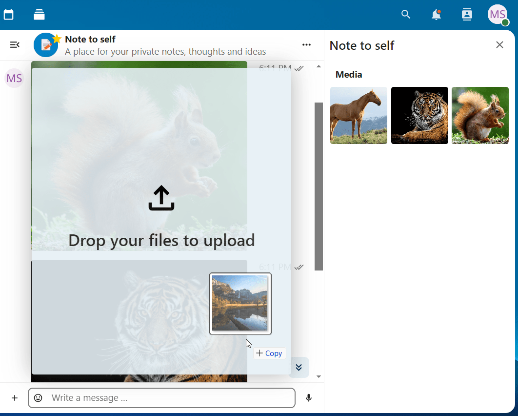 Talk chat with a file being dragged and dropped to share