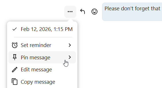 Talk message context menu with pin message option