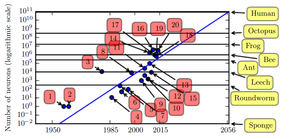 Network sizing