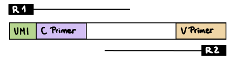 nf-core/airrflow