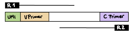 nf-core/airrflow