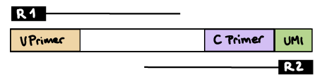 nf-core/airrflow