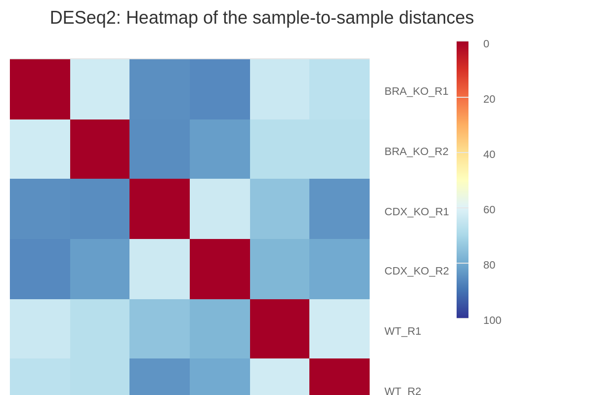 MultiQC - DESeq2 sample similarity plot
