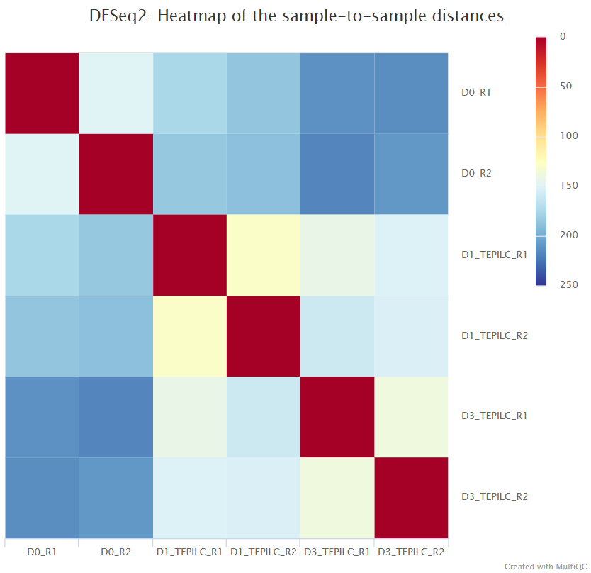 MultiQC - DESeq2 sample similarity plot