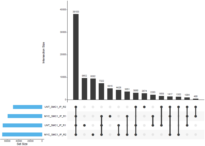 chipseq: Output