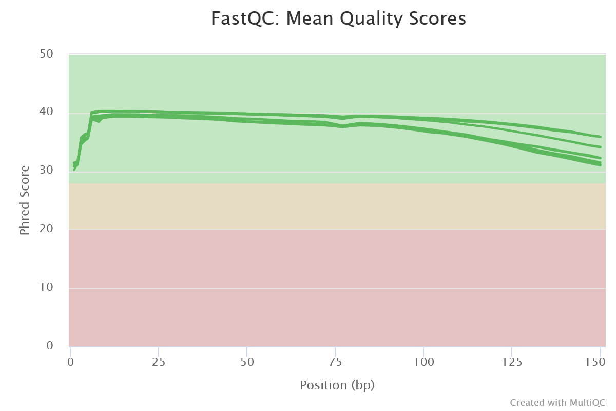 MultiQC - FastQC mean per base quality scores plot