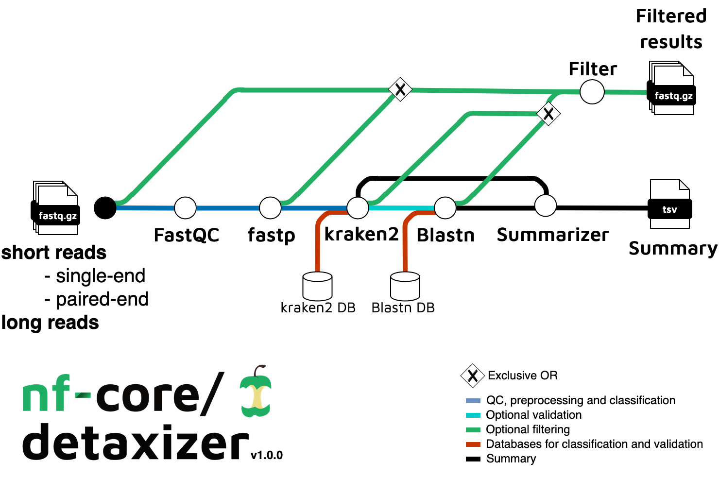 detaxizer metro workflow