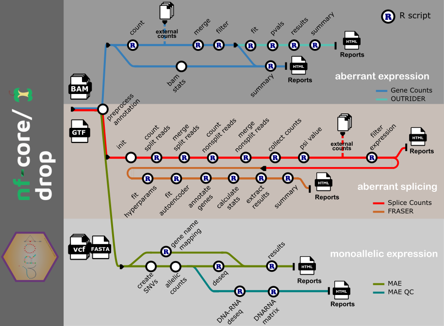A high-level diagram of the DROP workflow in a metro map style