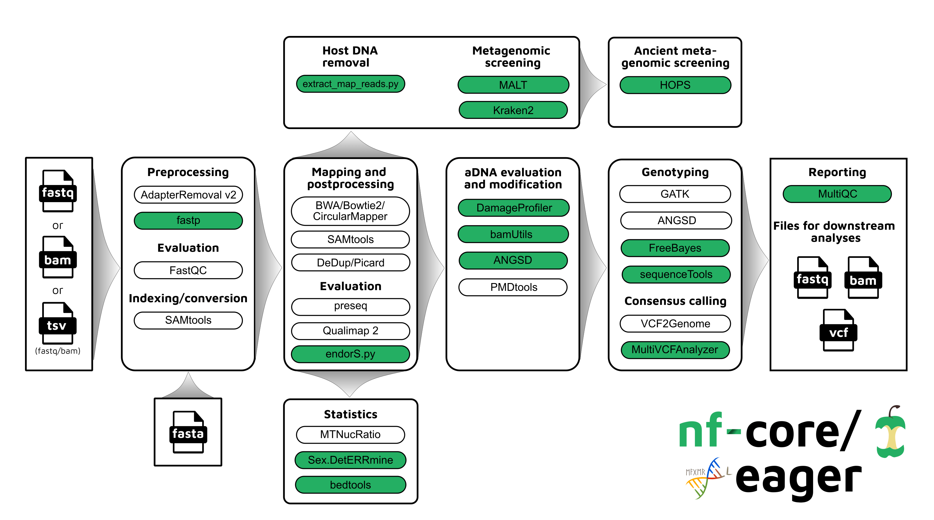 nf-core/eager schematic workflow