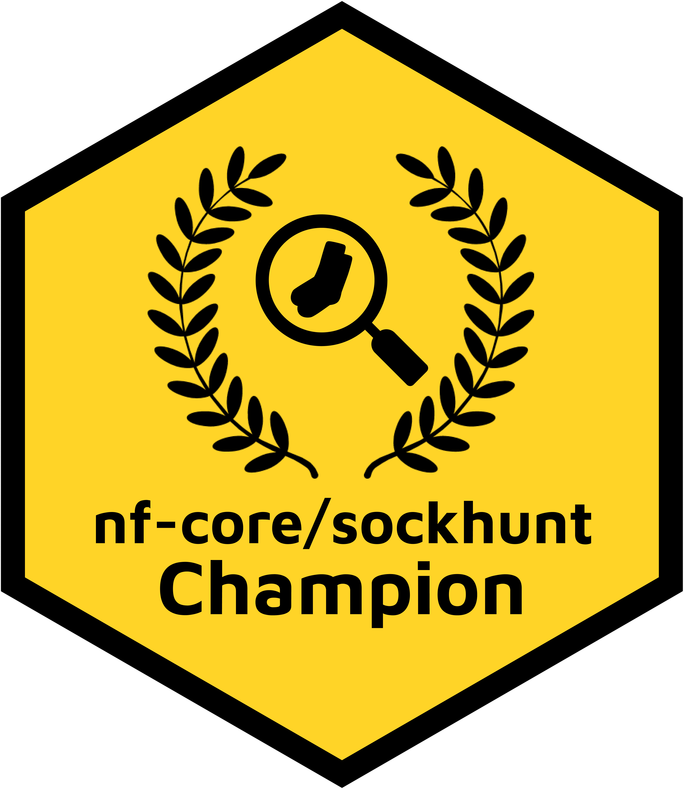 sockhunt champion