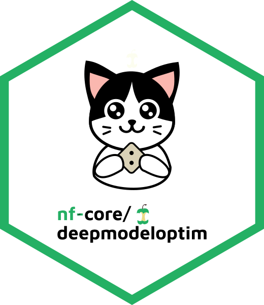 deepmodeloptim pipeline