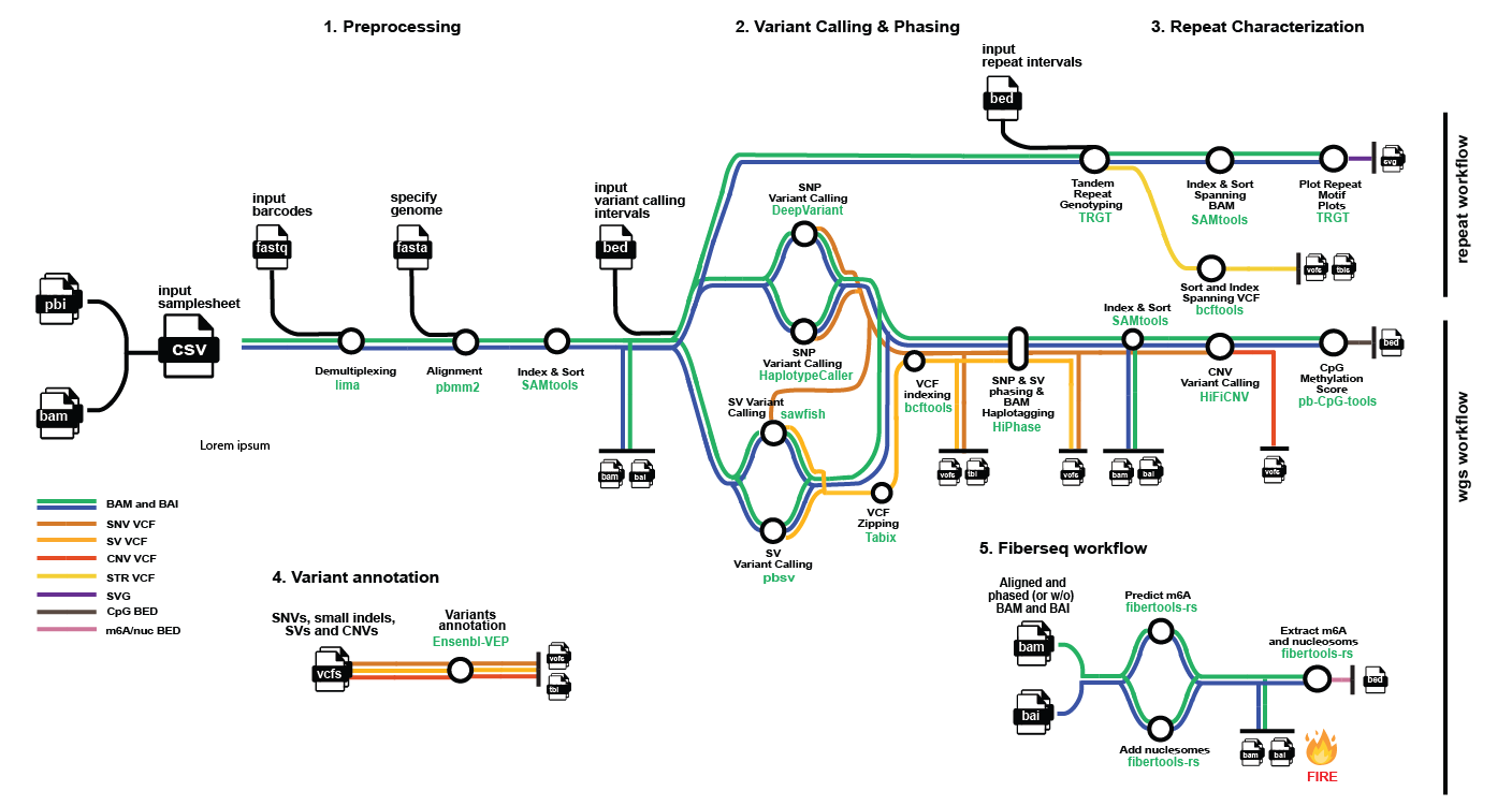 nf-core/pacvar metro map