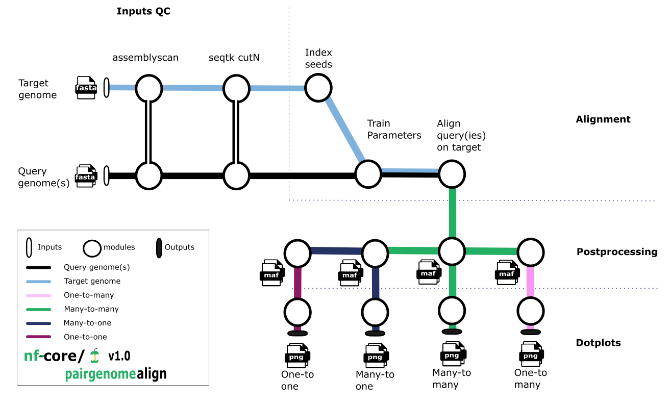 Tubemap workflow summary