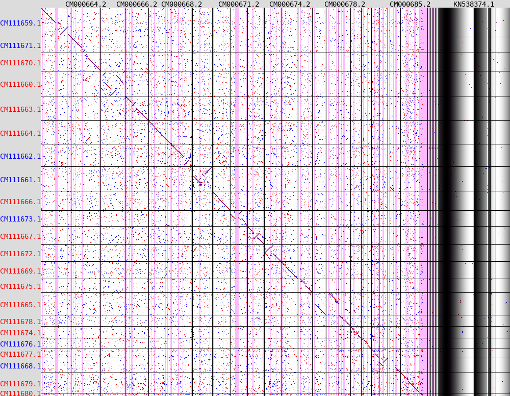 Example of a dot-plot produced by the pipeline after aligning human and macaque genomes