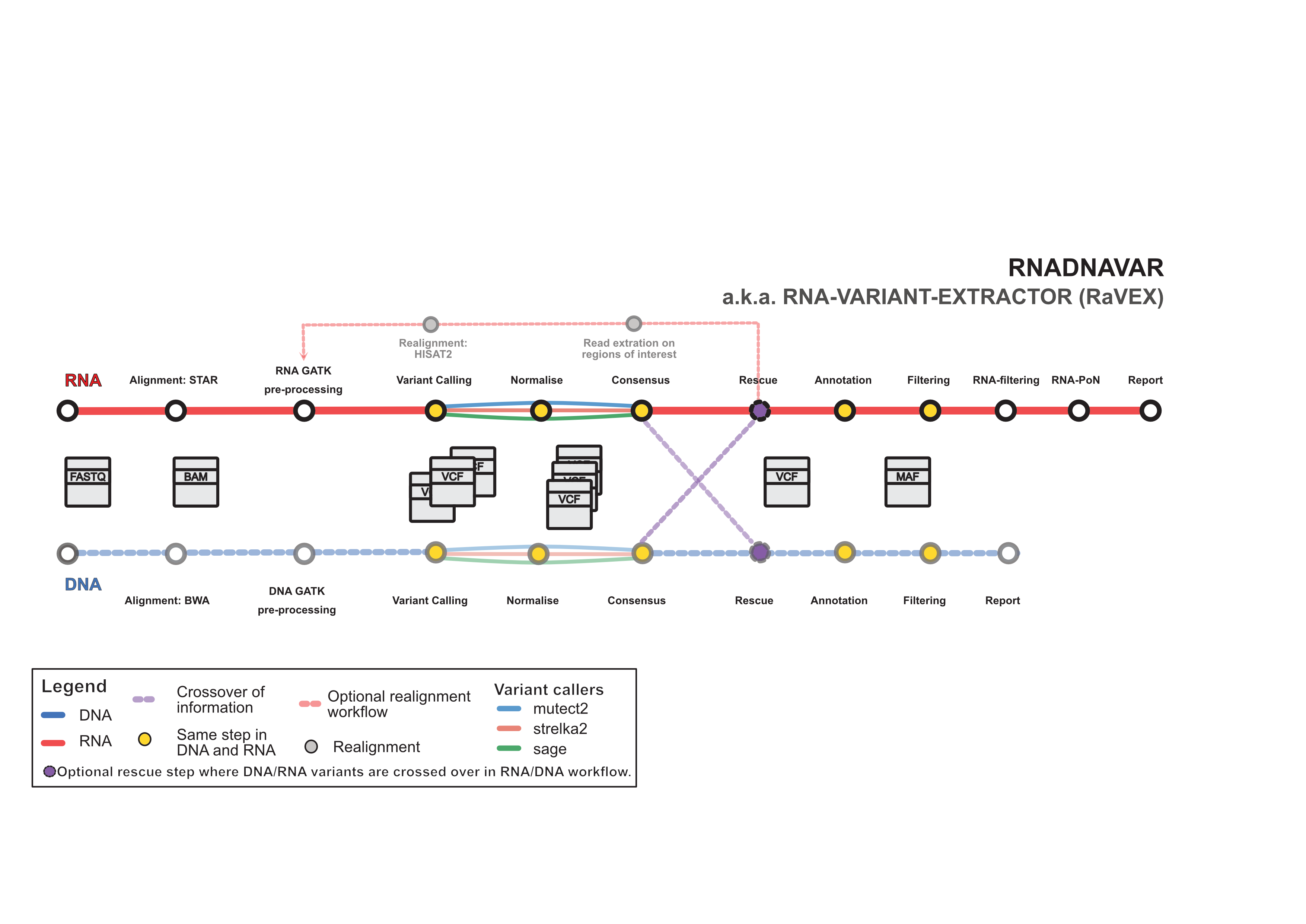RNADNAVAR Workflow
