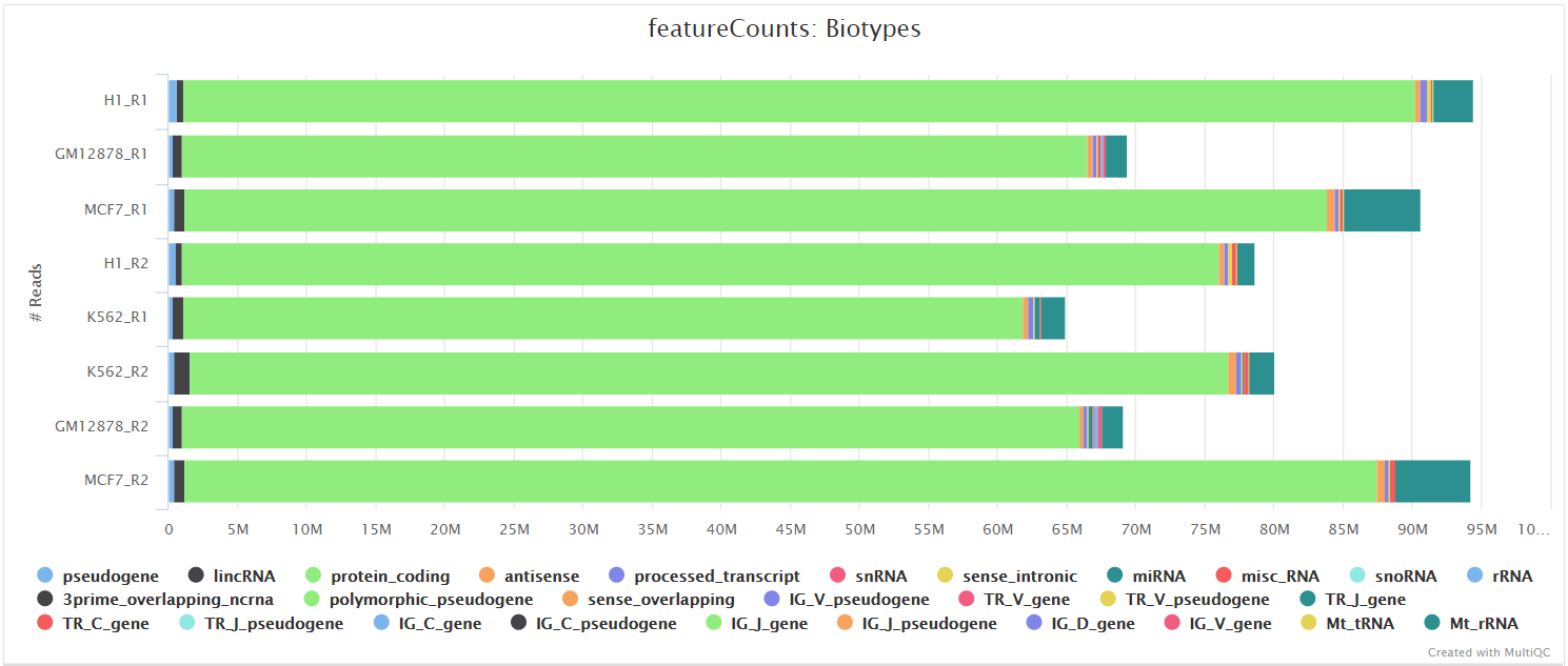 MultiQC - featureCounts biotypes plot